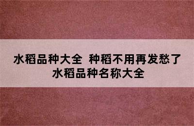 水稻品种大全  种稻不用再发愁了 水稻品种名称大全